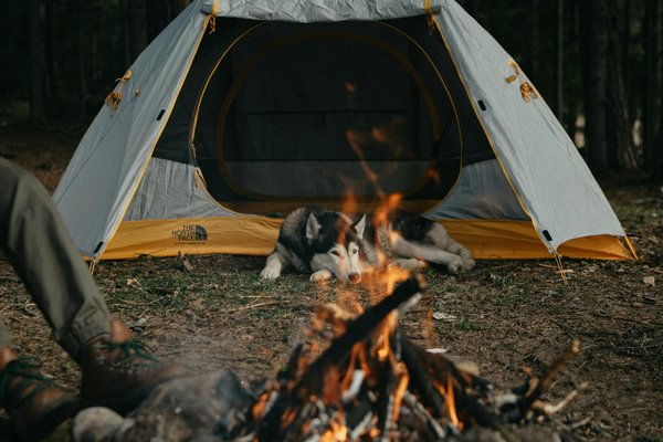 Comment choisir une tente adaptée pour un camping en région volcanique en hiver?